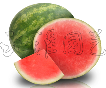 無籽5號