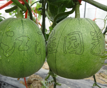 翡翠