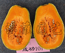 成功101