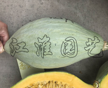 香貴妃