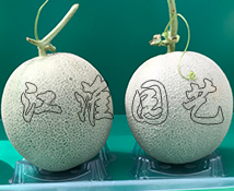 翠蜜4號