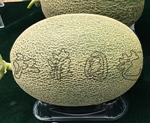 江淮蜜19號