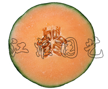 江淮蜜23號