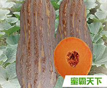 蜜霸天下